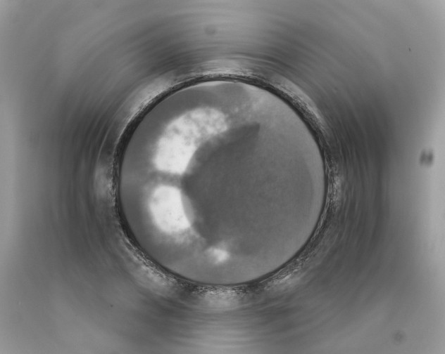 X0000091550882200709141513