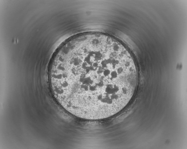 X0000091550883200709141513