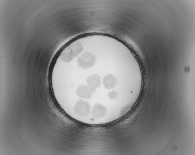 X0000091550884200709141513