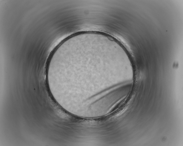 X0000091550885200709141513