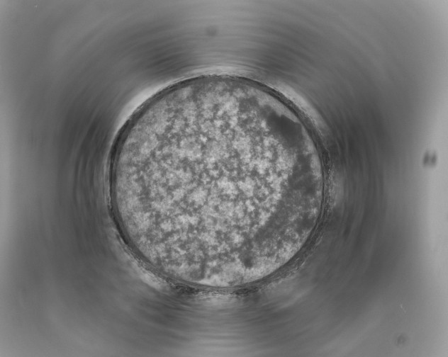 X0000091550886200709141513