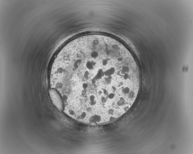 X0000091550887200709141513