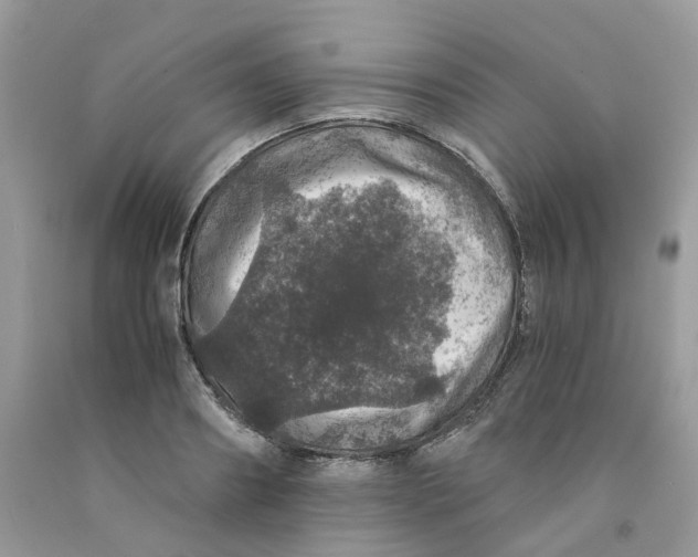 X0000091550890200709141513