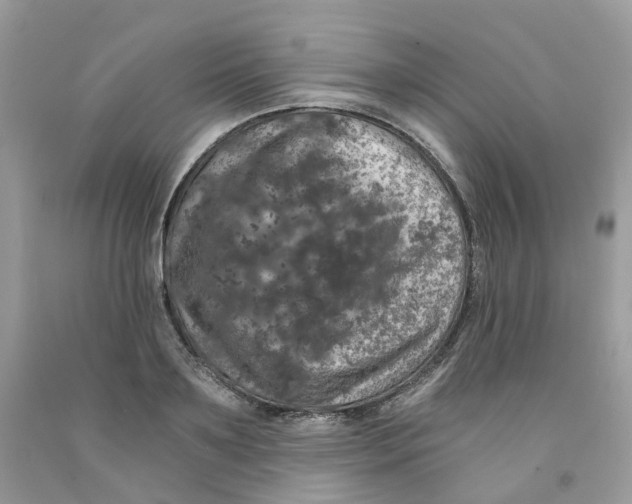 X0000091550891200709141513