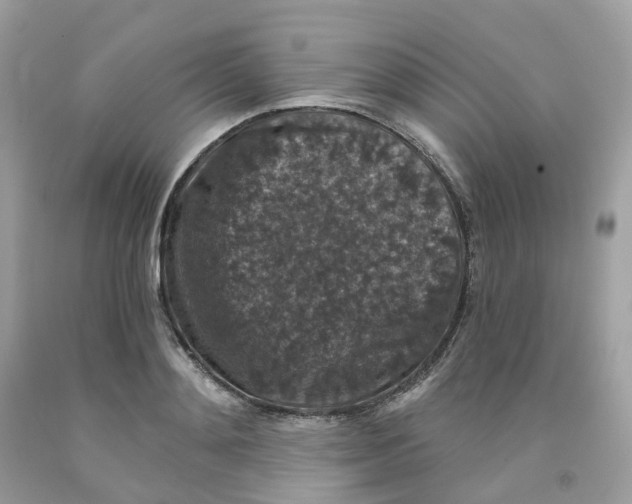 X0000091550892200709141513