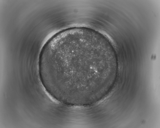 X0000091550894200709141513