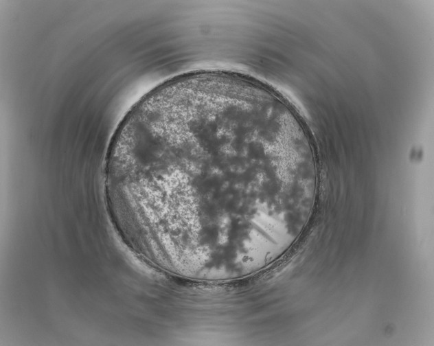 X0000091550895200709141513