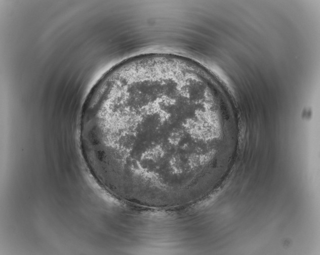 X0000091550896200709141513