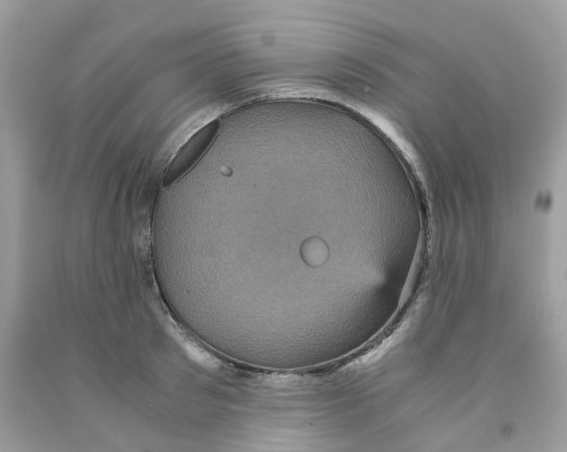 X0000091550897200709141513