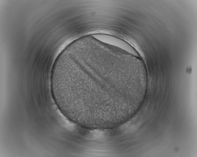 X0000091550898200709141513