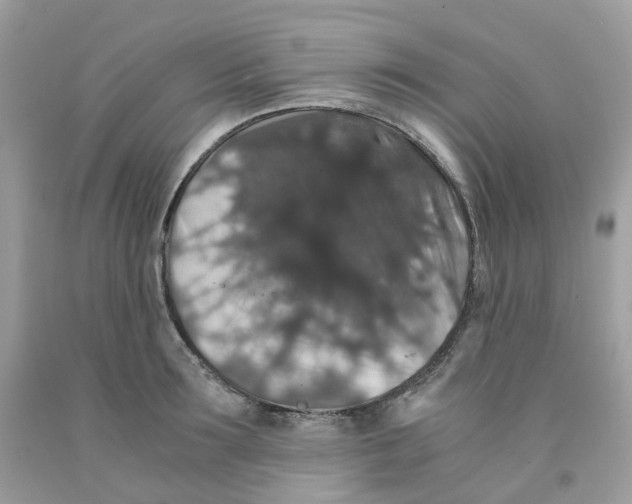 X0000091550899200709141513