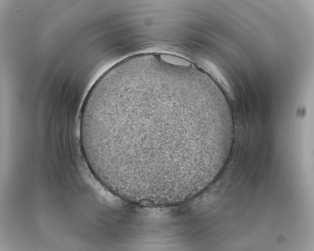 X0000091550900200709141513