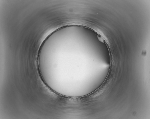 X0000091550901200709141513