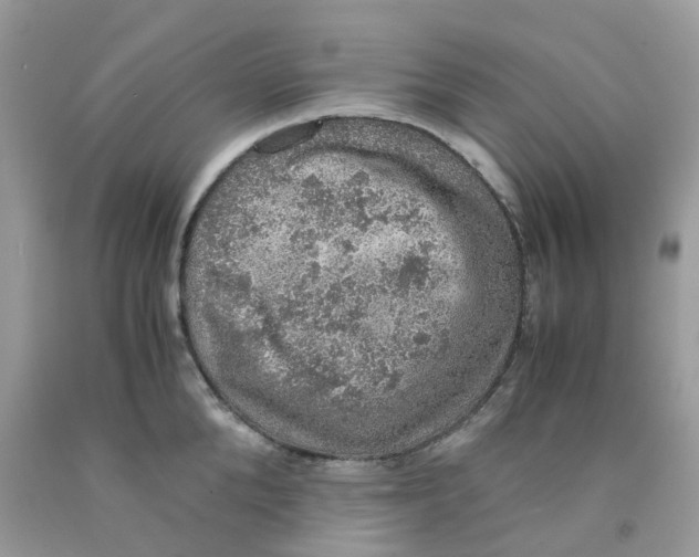 X0000091550904200709141513