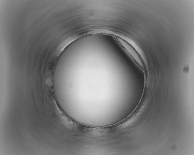 X0000091550905200709141513