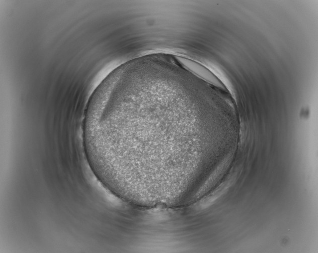 X0000091550906200709141513