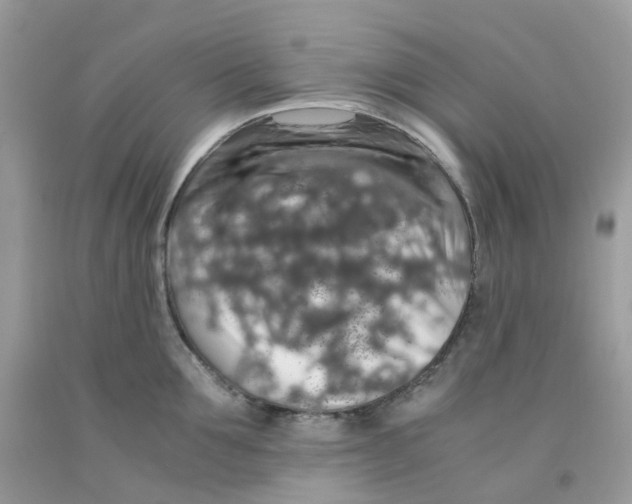 X0000091550907200709141513