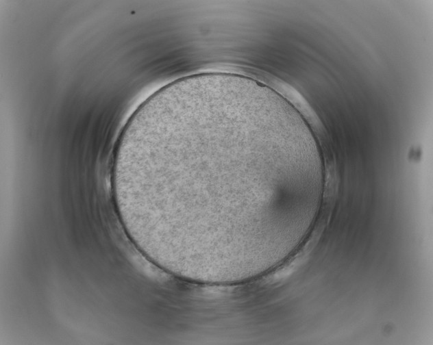 X0000091550908200709141513