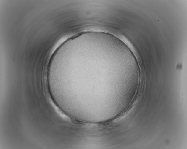 X0000091550909200709141513