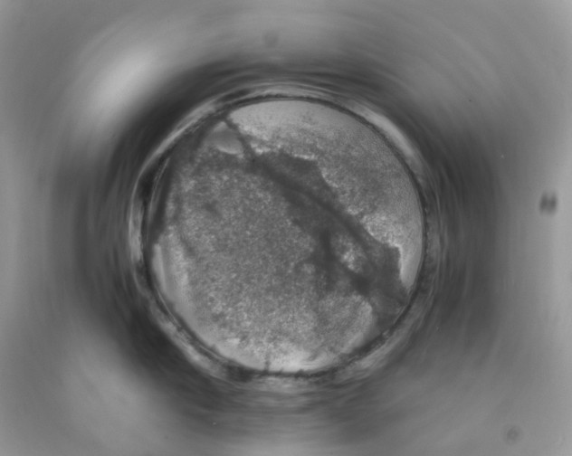 X0000091550910200709141513