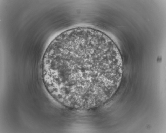 X0000091550911200709141513