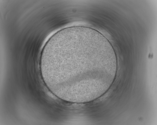 X0000091550912200709141513