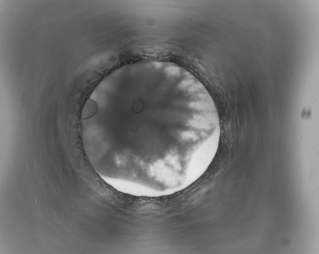 X0000091550913200709141512