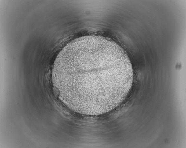 X0000091550914200709141512