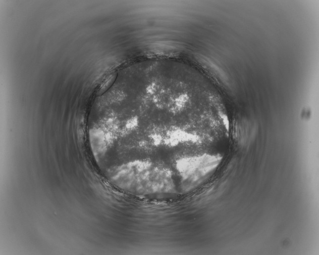 X0000091550915200709141512