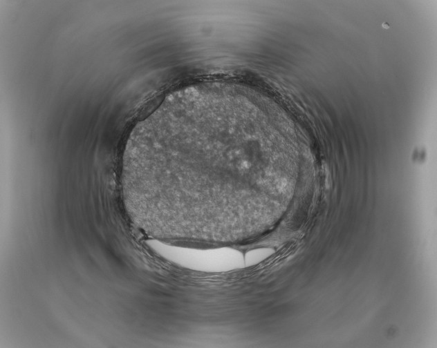 X0000091550916200709141513