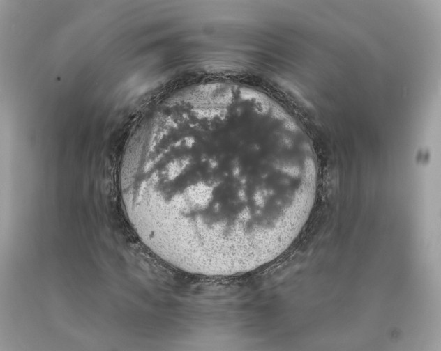 X0000091550917200709141513