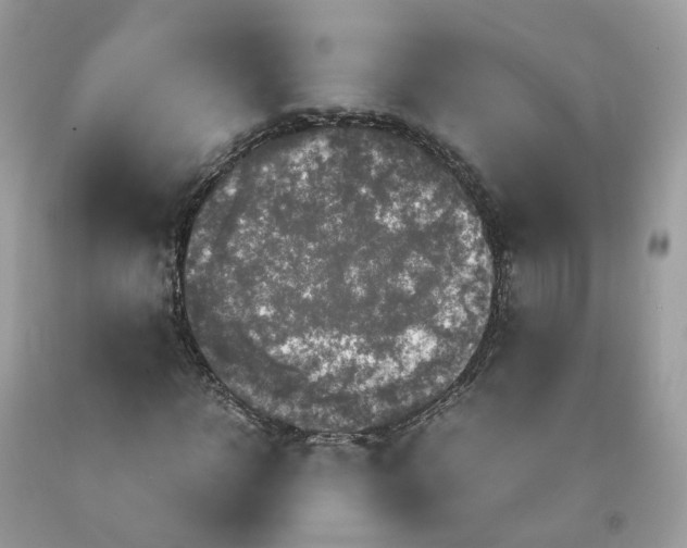 X0000091550918200709141513