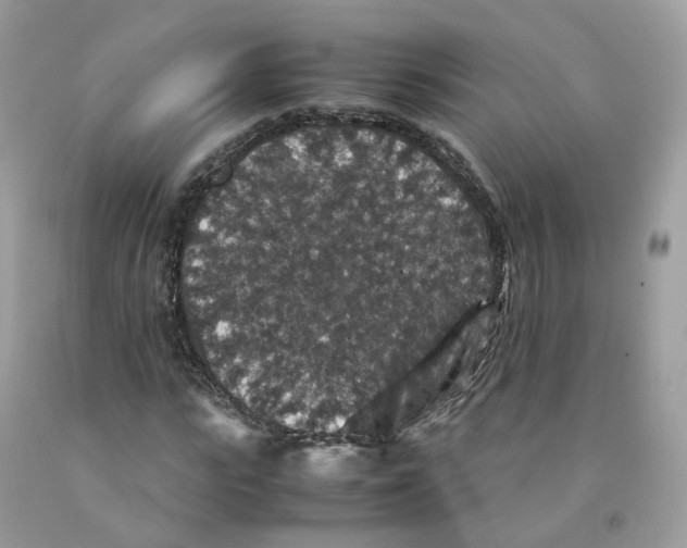 X0000091550919200709141513