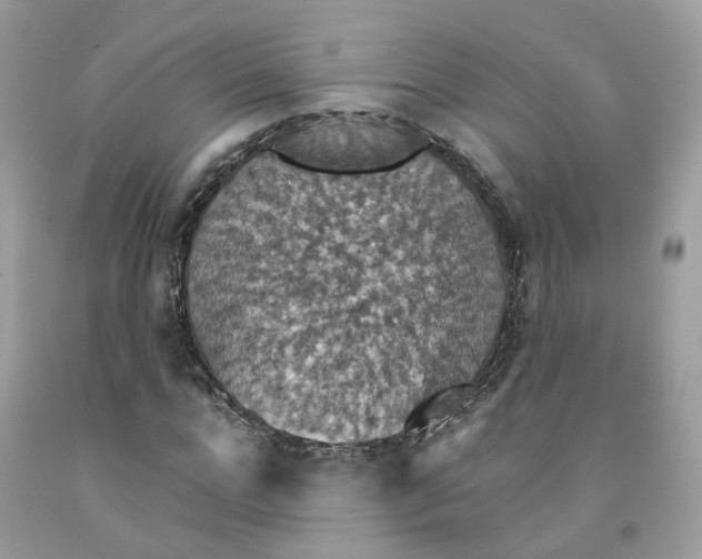 X0000091550920200709141513