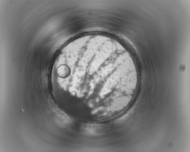 X0000091550921200709141513