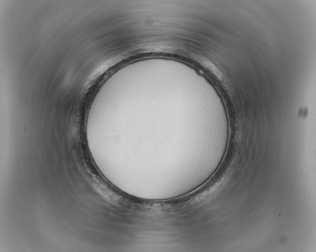 X0000091550922200709141513