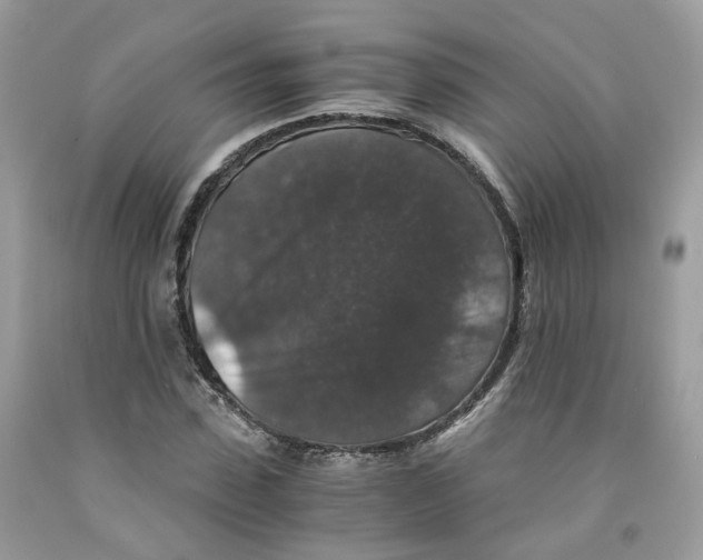 X0000091550923200709141513