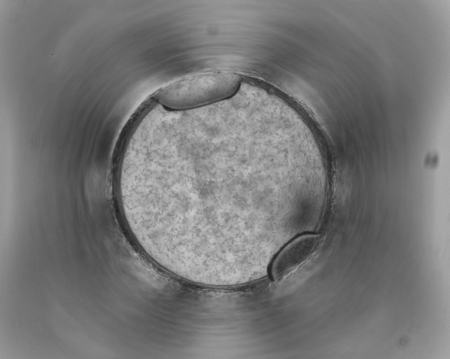 X0000091550924200709141513