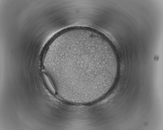 X0000091550926200709141513