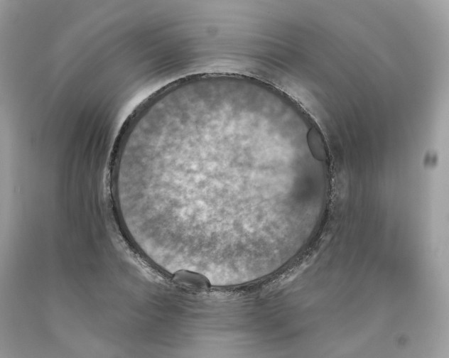 X0000091550928200709141513