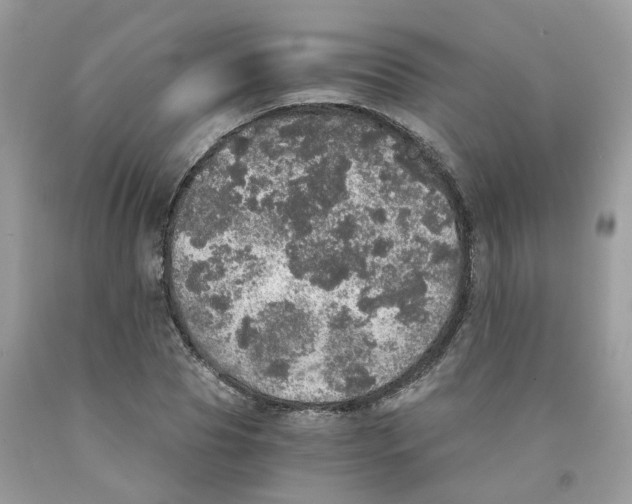 X0000091550929200709141513