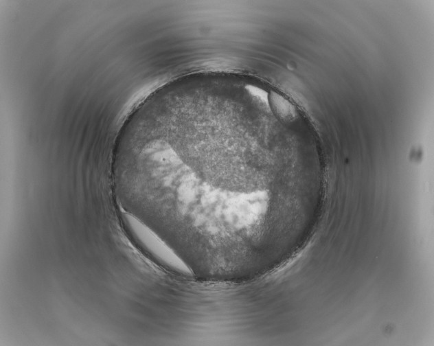 X0000091550930200709141513