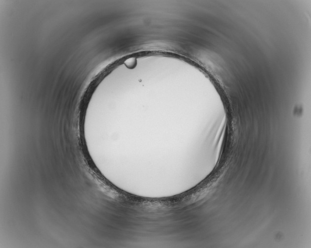 X0000091550931200709141513