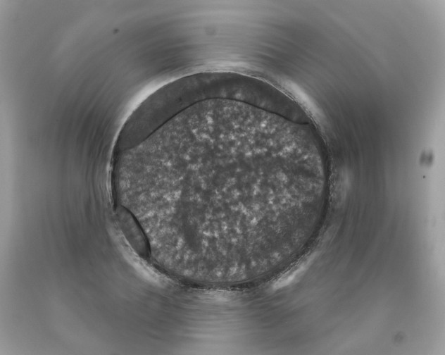 X0000091550932200709141513