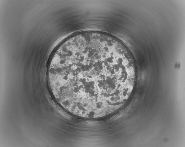 X0000091550933200709141513