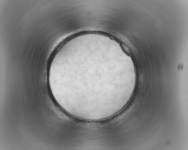 X0000091550934200709141513