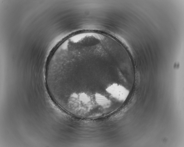 X0000091550935200709141513