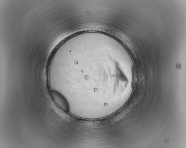 X0000091550936200709141513