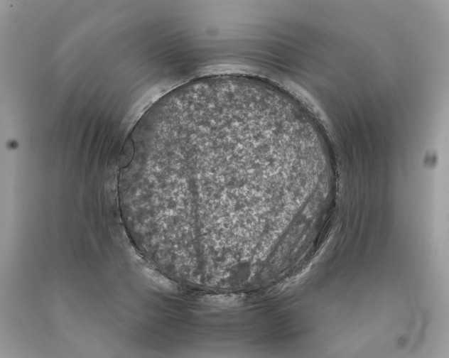 X0000091550937200709141513