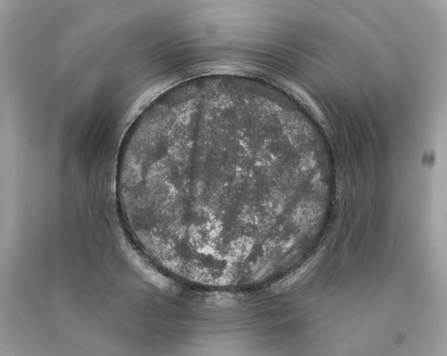 X0000091550938200709141513